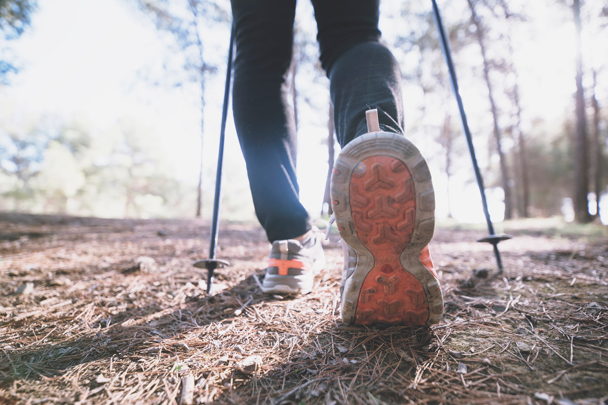 Nahaufnahme Nordic Walking im Wald